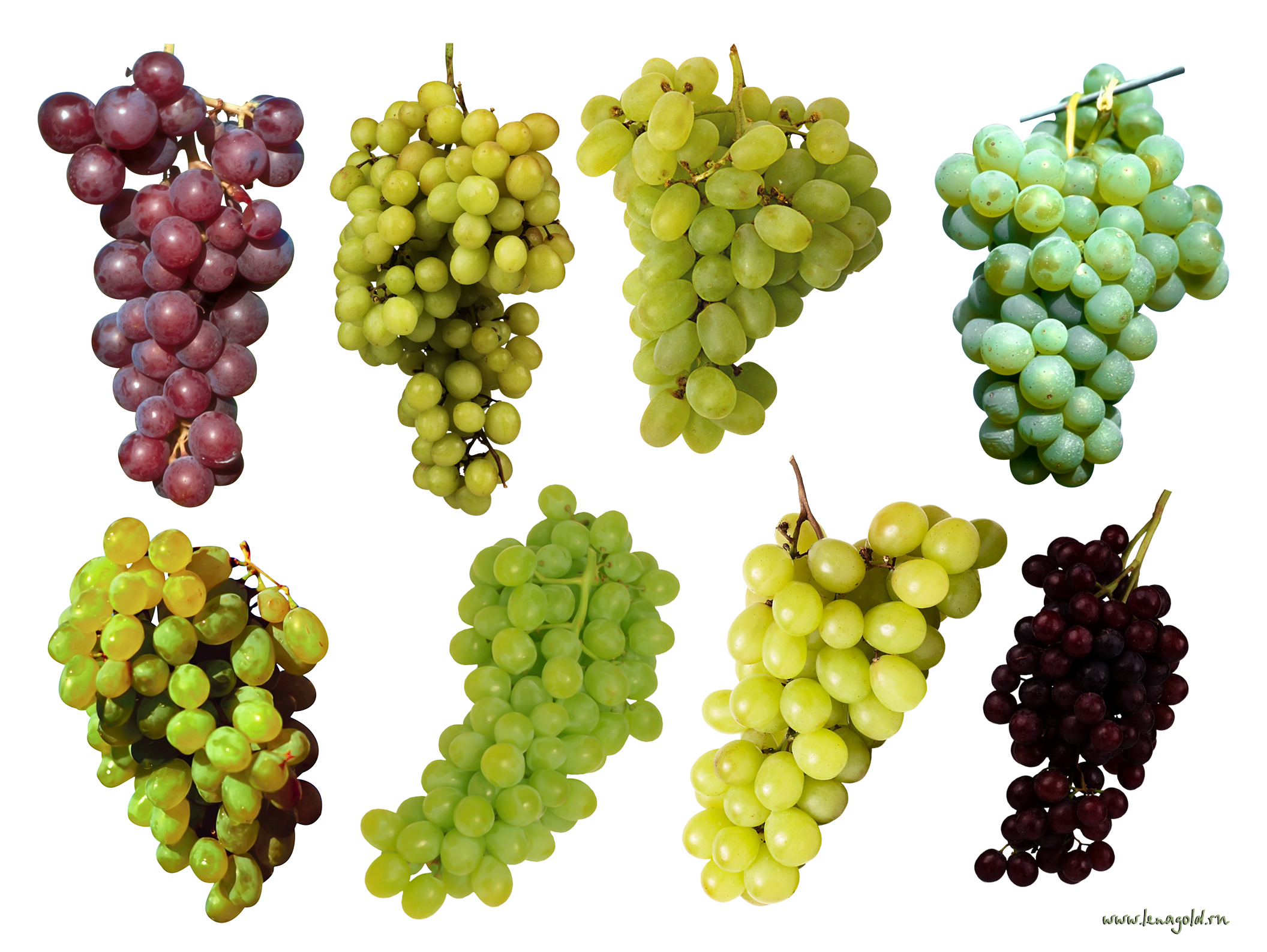 Wheat clipart grape. Grapes png image purepng