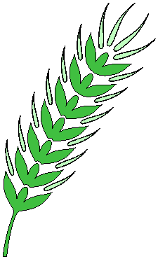 Wheat clipart green. Free download best on