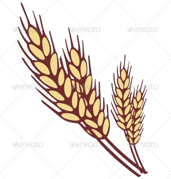 wheat clipart simple