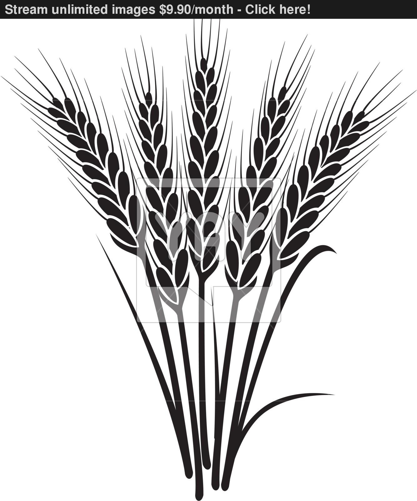 Wheat clipart sprig. Plant sketch at paintingvalley
