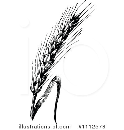 Illustration by prawny . Wheat clipart vintage