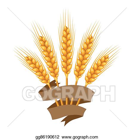 Clip art vector of. Wheat clipart wheat bunch