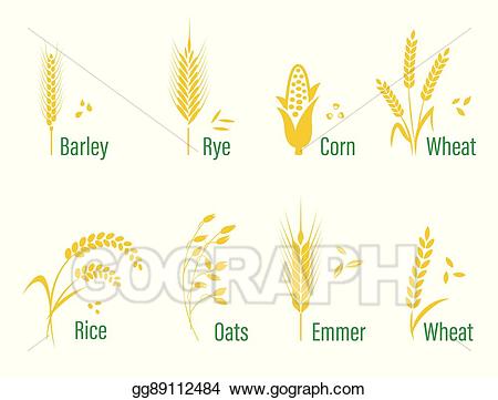Wheat clipart wheat corn. Vector illustration cereals icon