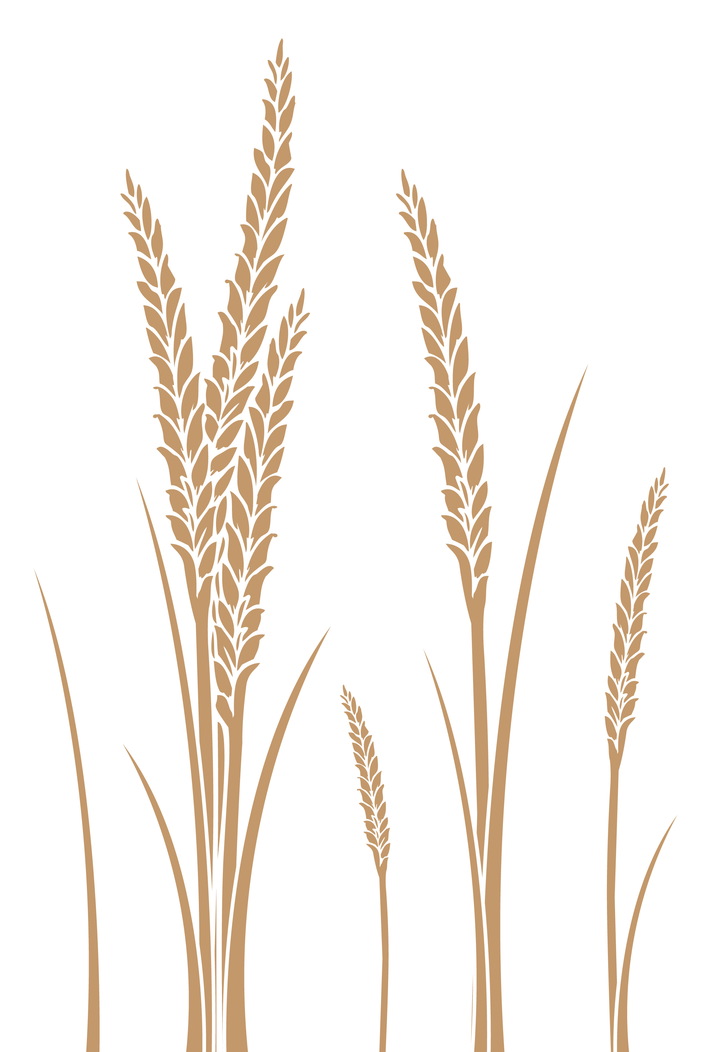 wheat clipart wheat stem