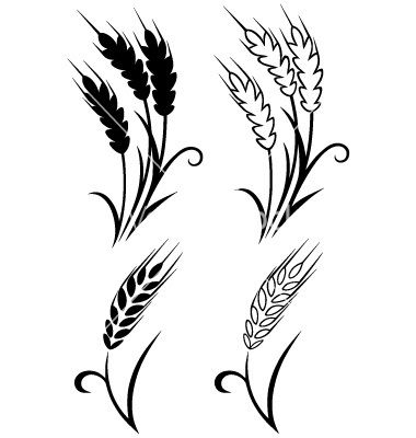 Wheat clipart wheat stem.  stalk vector images