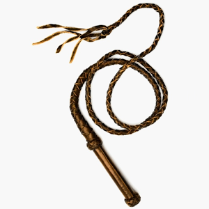 Free download best on. Whip clipart indiana jones whip