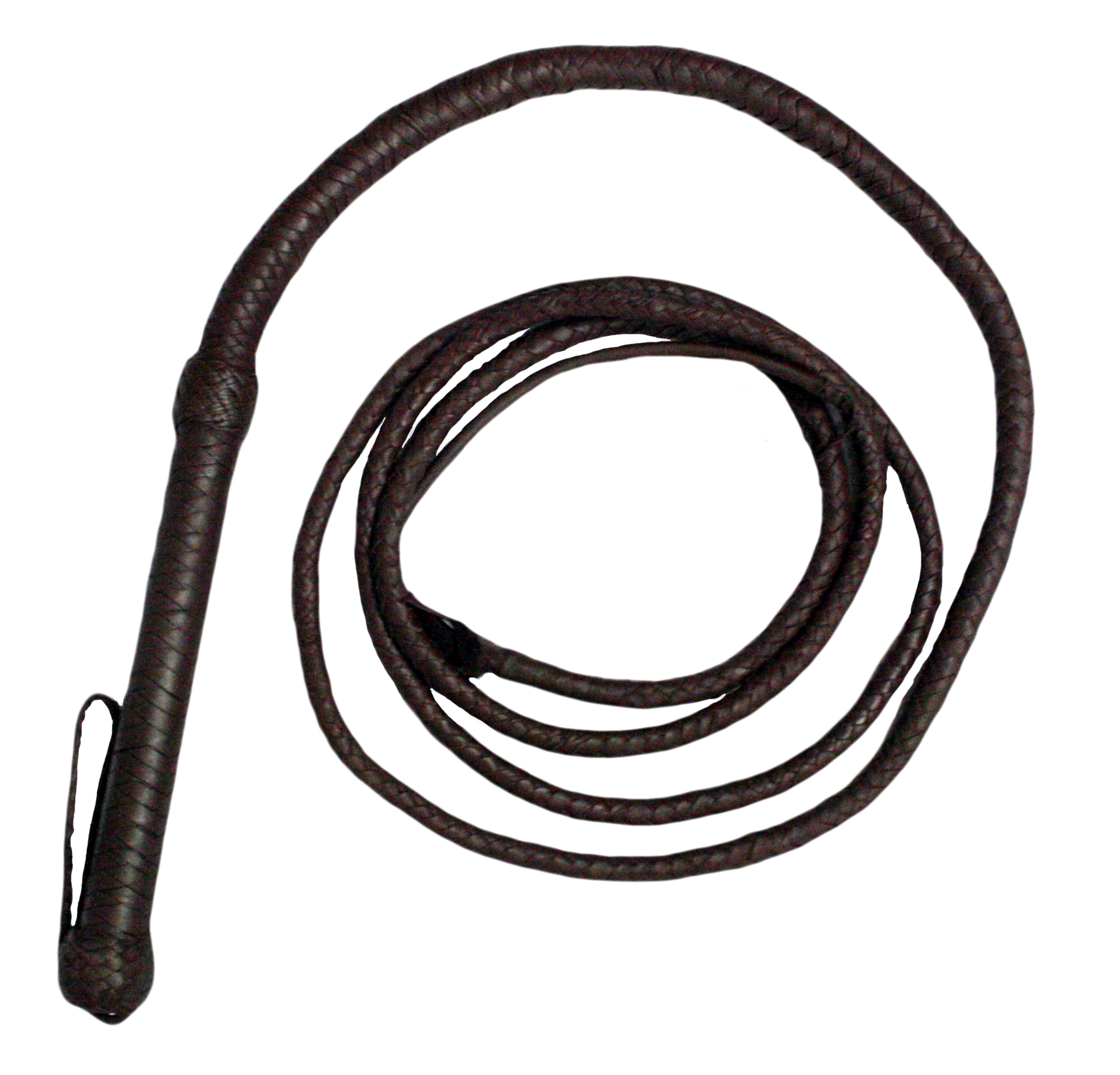 Png image purepng free. Whip clipart leather whip