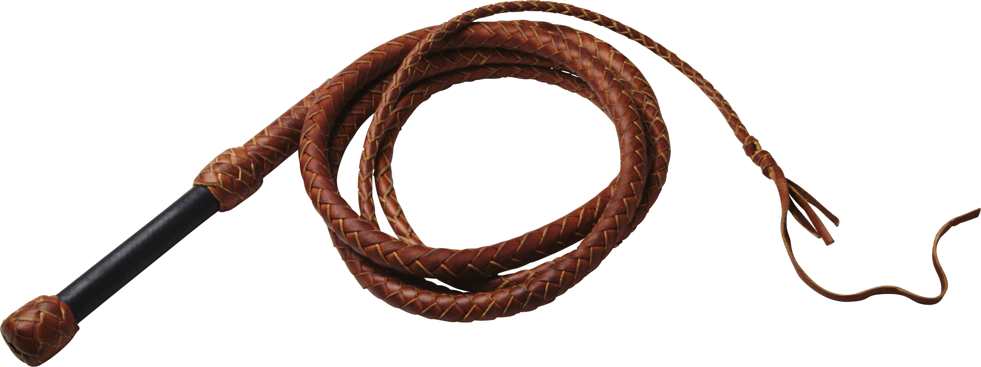 Whip clipart leather whip. Png images free download
