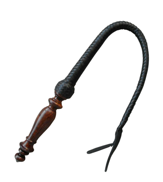 Whip clipart leather whip. Png image purepng free