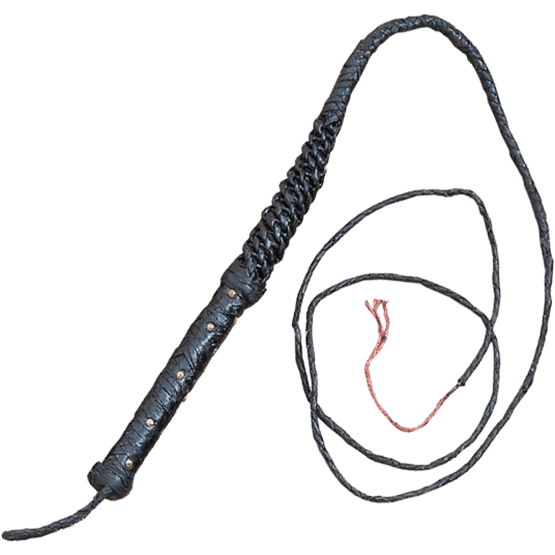 Png image purepng free. Whip clipart leather whip