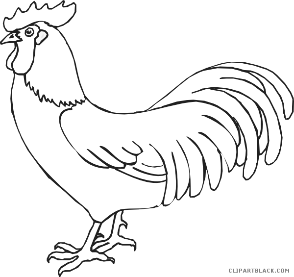 Outline clipartblack com animal. White clipart rooster