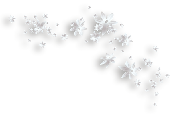 white flower clipart png