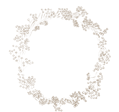  for free download. White flower crown png