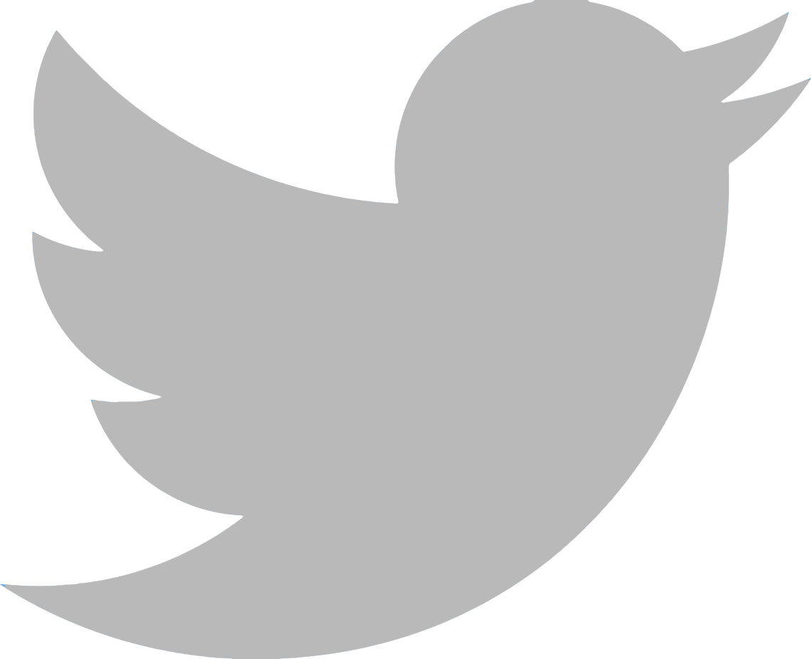 Index of aiaa images. White twitter bird png