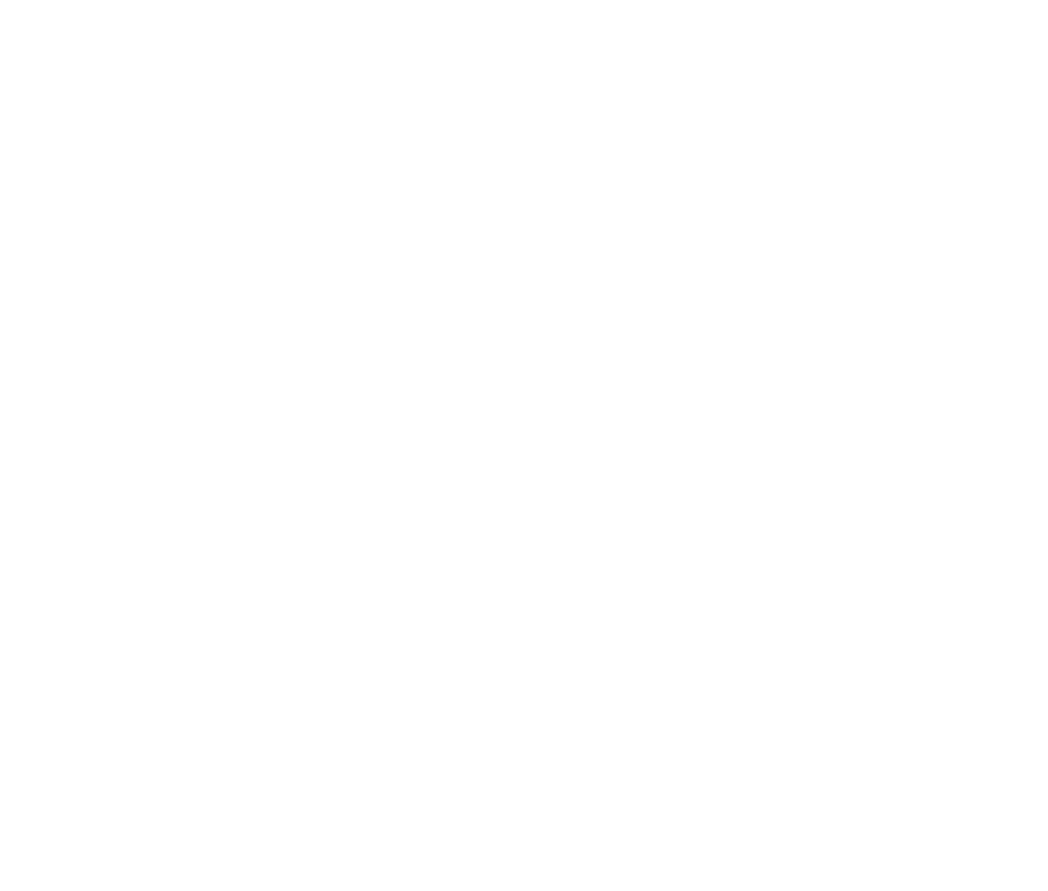My style pinterest and. White twitter bird png