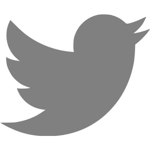 Gray icon free social. White twitter png