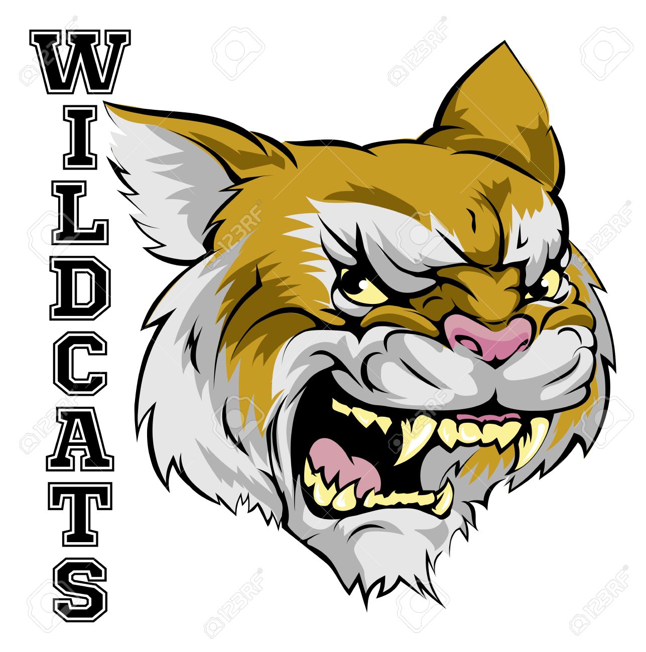 Wildcat clipart animated. Free download clip art