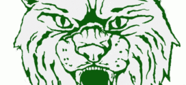 Wildcat clipart green. Collection of free download