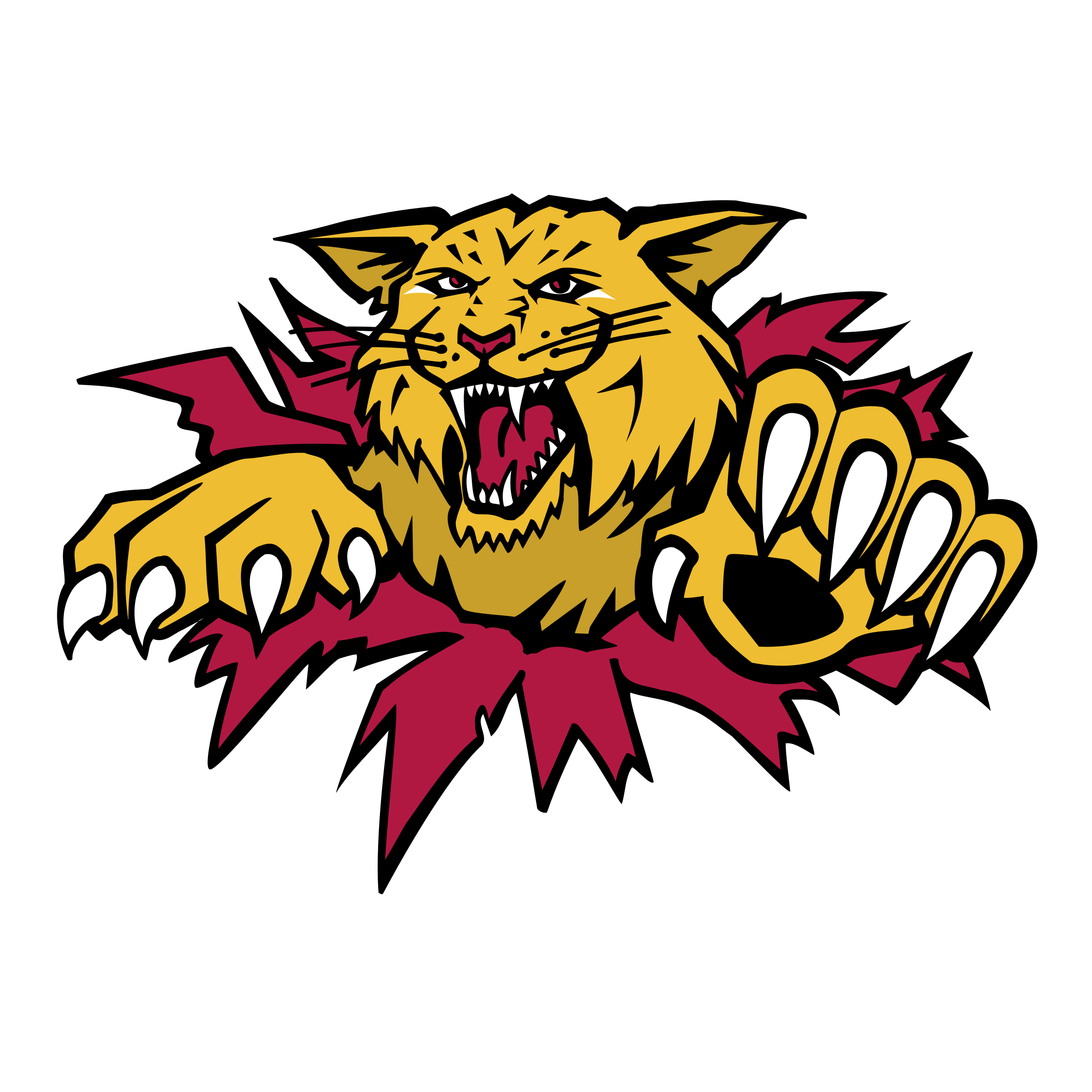 Wildcat clipart svg. Moncton wildcats logo png