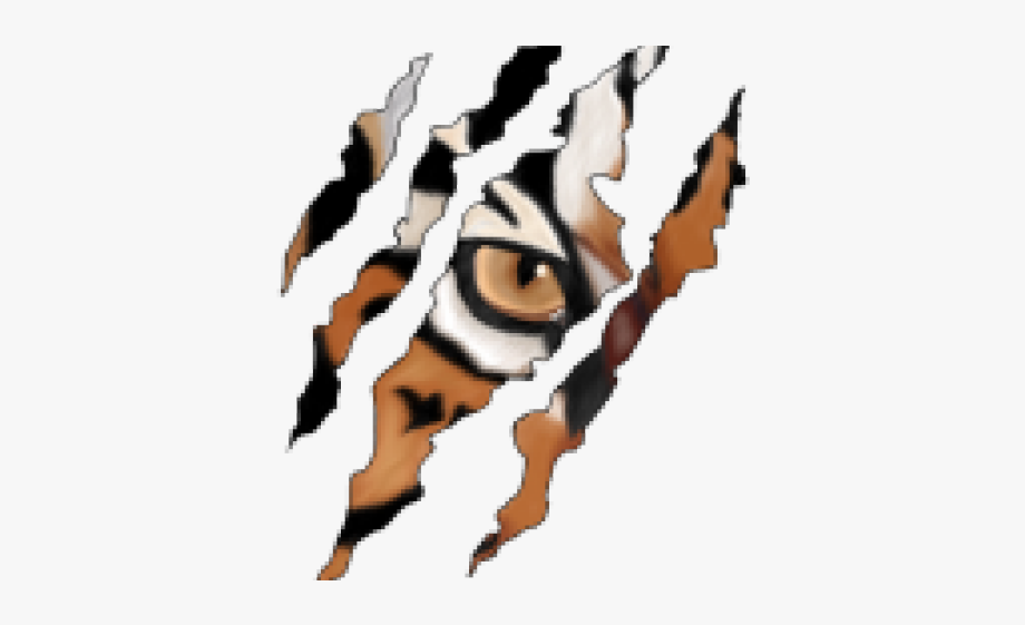 Claws cheetah png free. Wildcat clipart tiger claw
