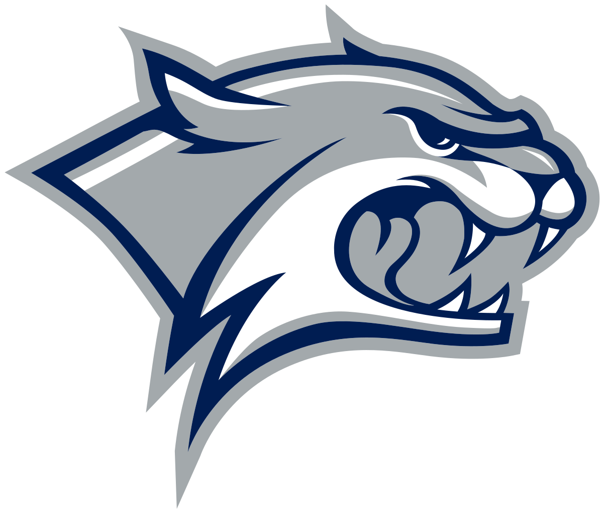 Sizing up the wildcats. Wildcat clipart transparent