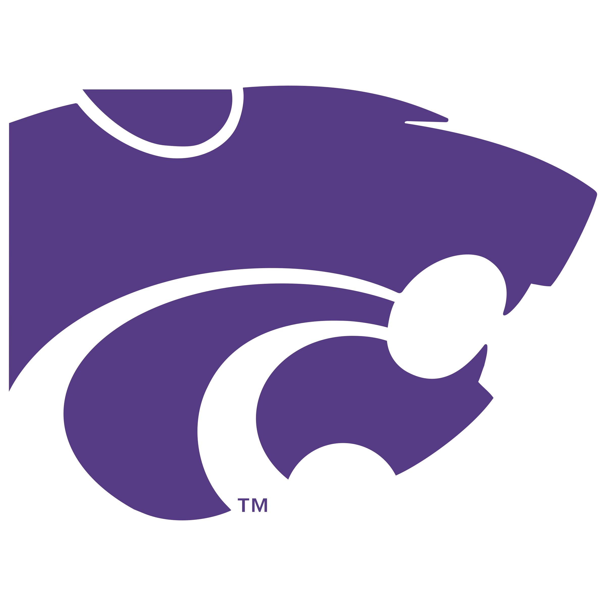 Kansas state wildcats logo. Wildcat clipart transparent