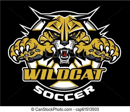 wildcat clipart vector