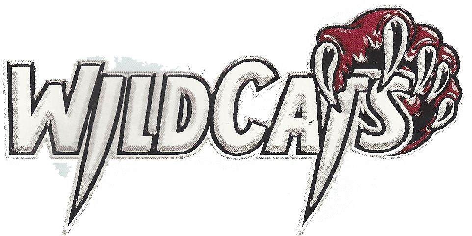 Wildcat clipart wildcat mascot.  collection of high