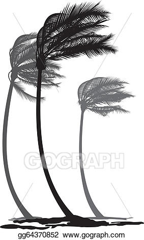 windy clipart palm tree
