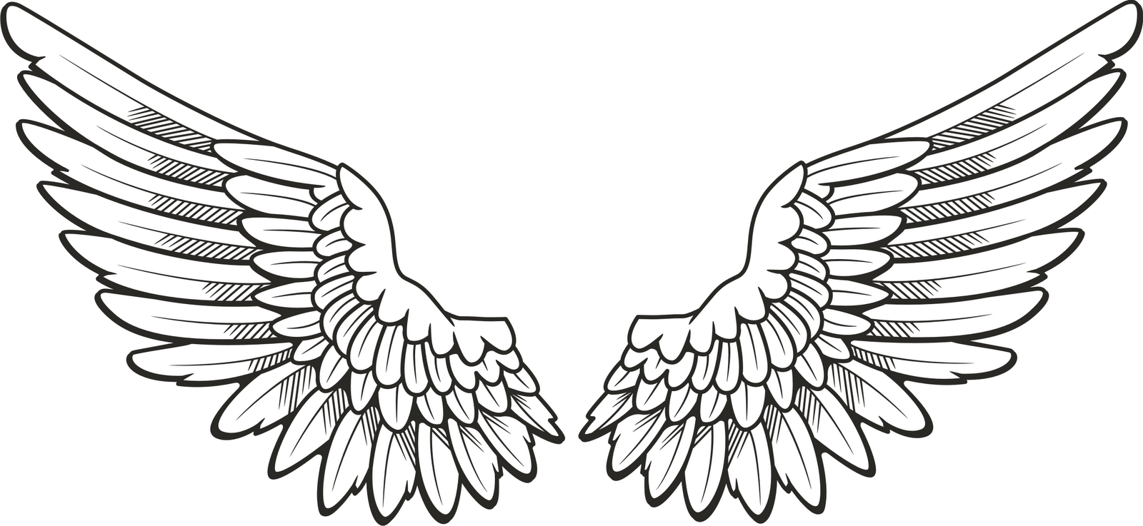 Wing clipart. R minecraft wings feathers