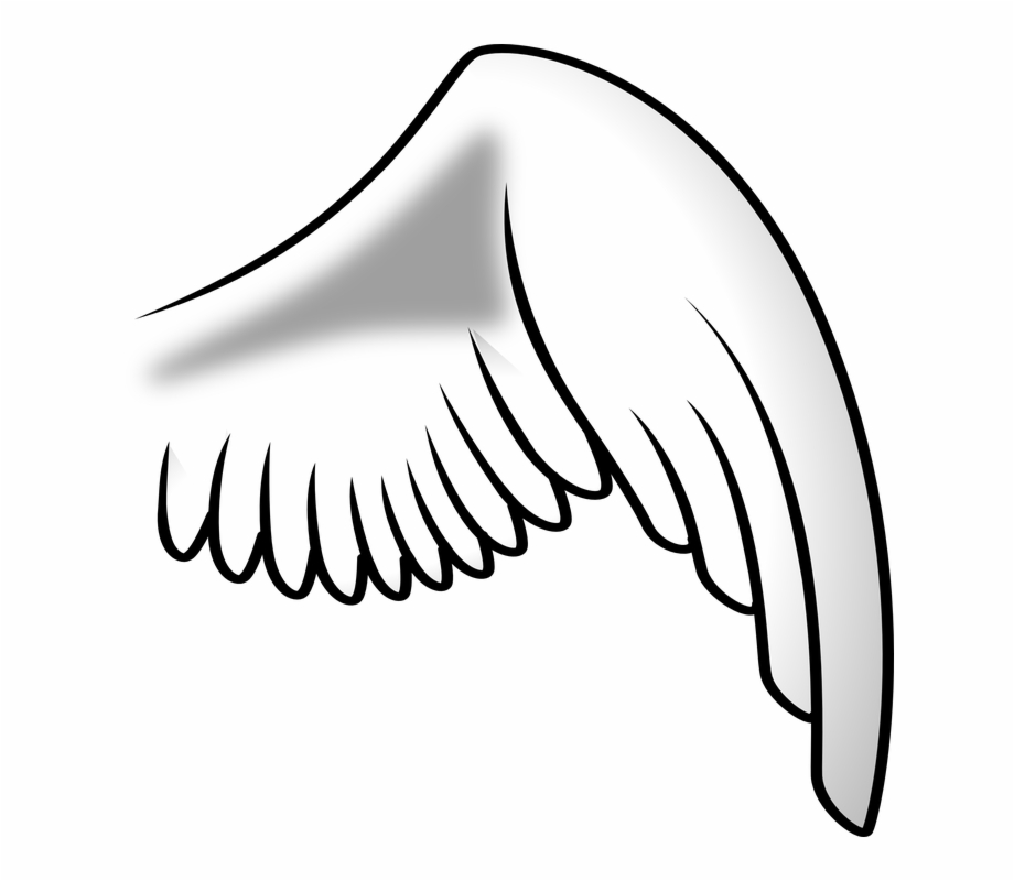 Wing clipart black and white. Bird transparent png download