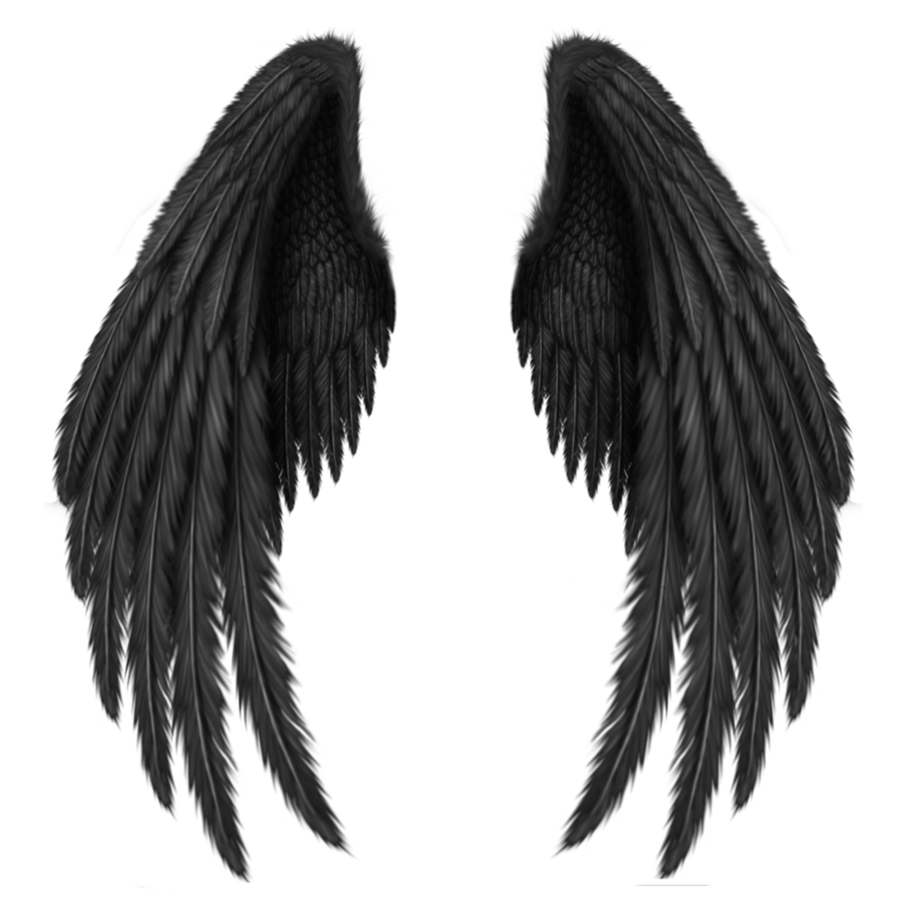 Wing clipart cupid wings. Collection of free aesthesis