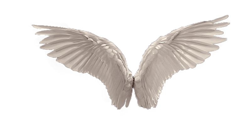 Wing clipart distressed. Wings favourites by elfablu