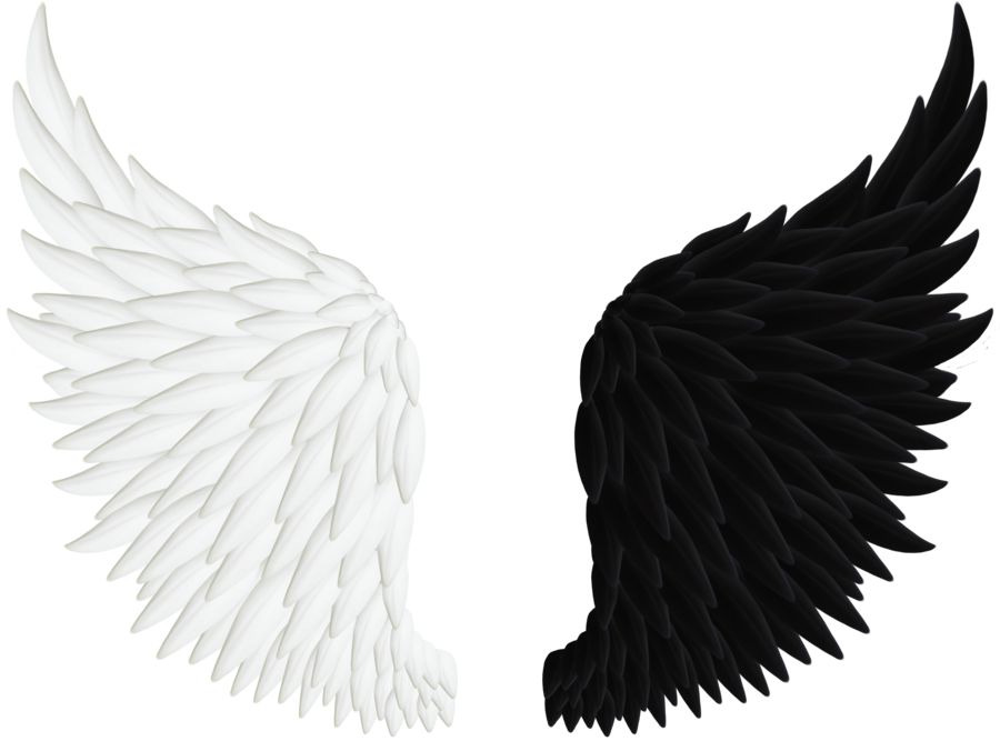 Angels wings angel png. Wing clipart distressed