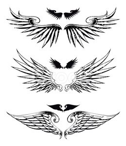 Three wings premium clipartlogo. Wing clipart distressed