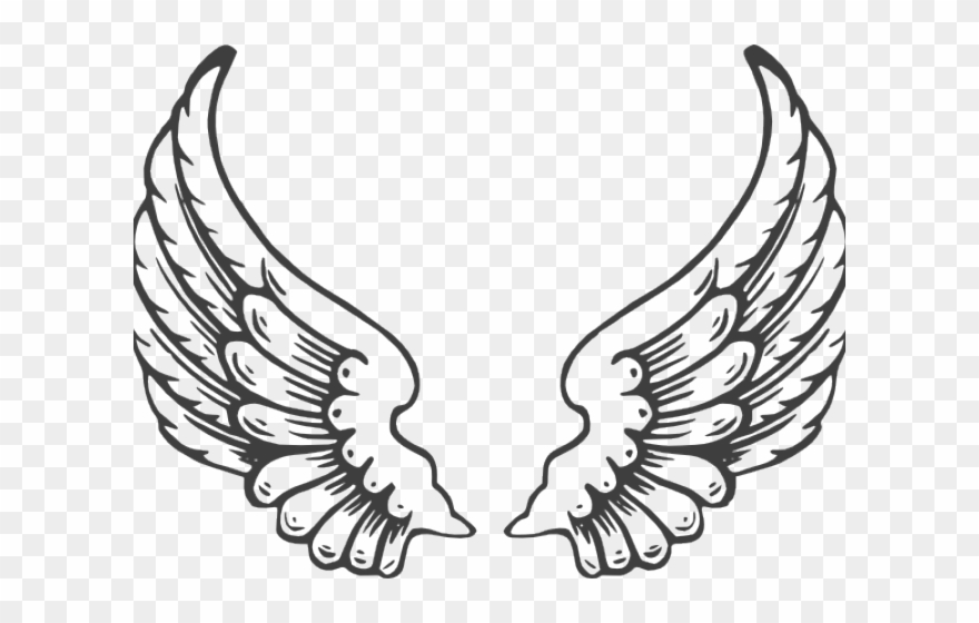 Wings angel jpg png. Wing clipart eagle