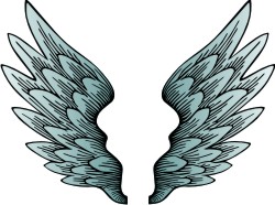 wing clipart family crest
