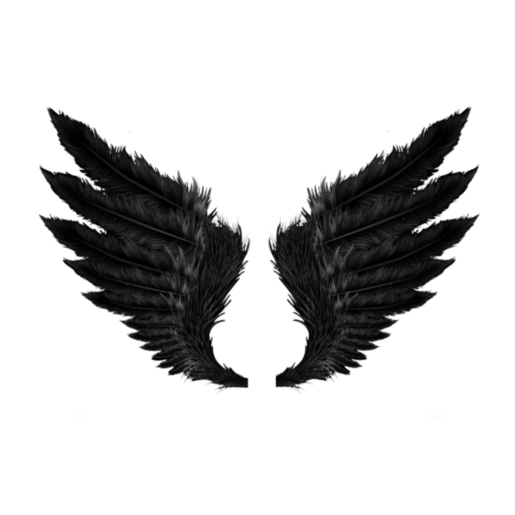 wing clipart feather wing