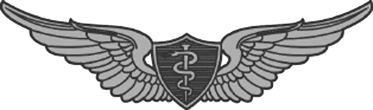 Parachutist badge united states. Wing clipart jumpmaster