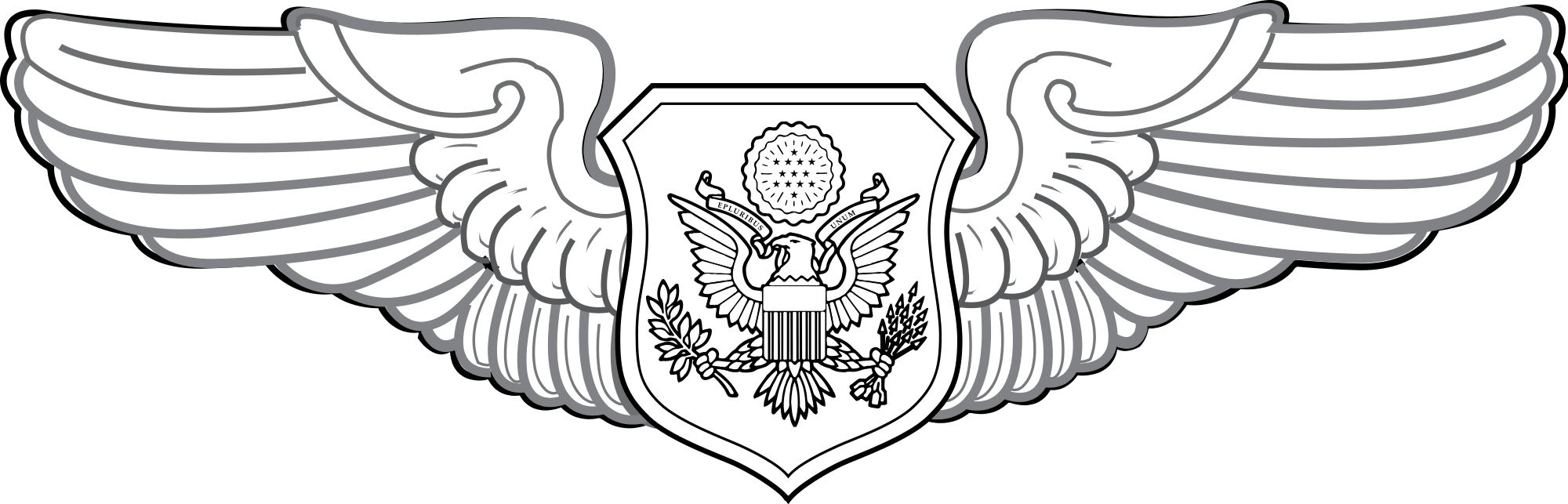 Badges of the u. Wing clipart military