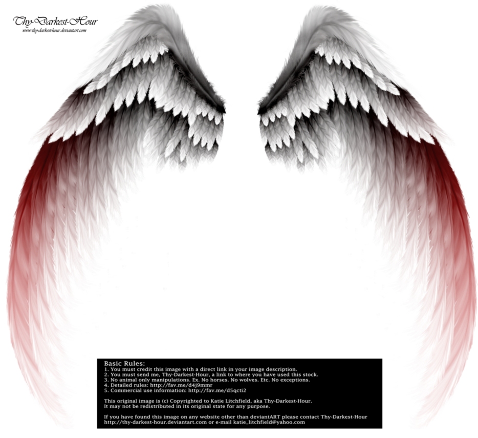 Arch angel wings red. Wing clipart pair wing
