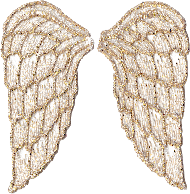 Golden angel wings free. Png files transparent background