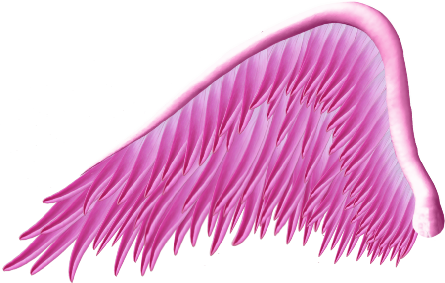 Wing clipart pink. Angel png by thy