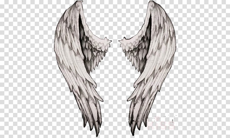 Wing clipart supernatural. Angel sketch creature drawing