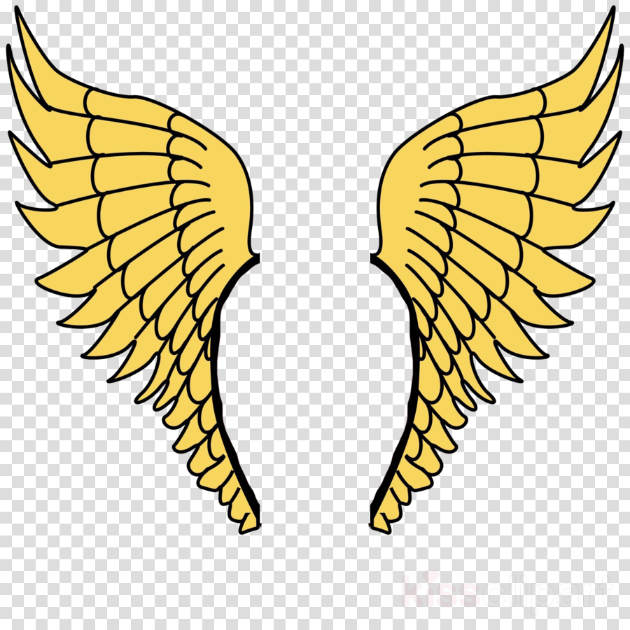 Wing clipart yellow. Leaf clip art 