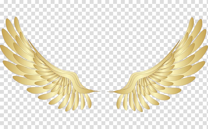Wings illustration gold golden. Wing clipart yellow