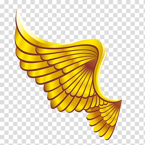 Wing clipart yellow. Gold wave illustration wings