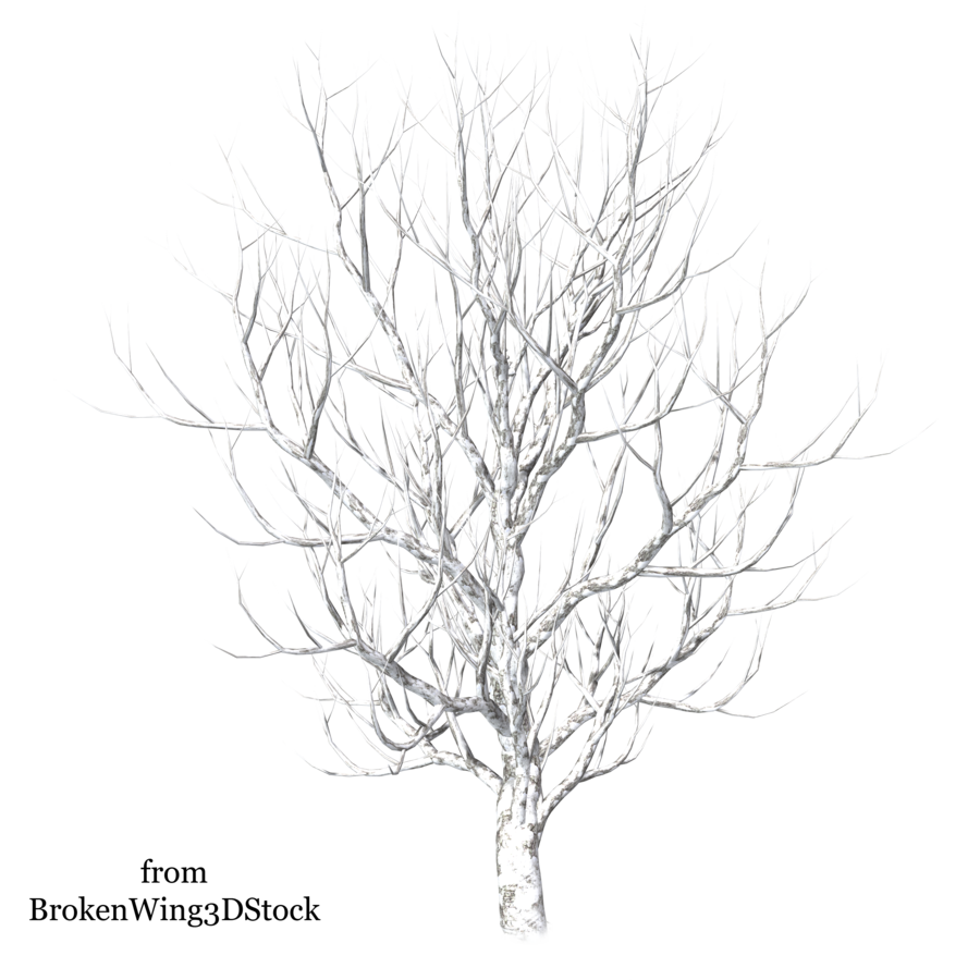 Tree in drawing at. Winter clipart branch