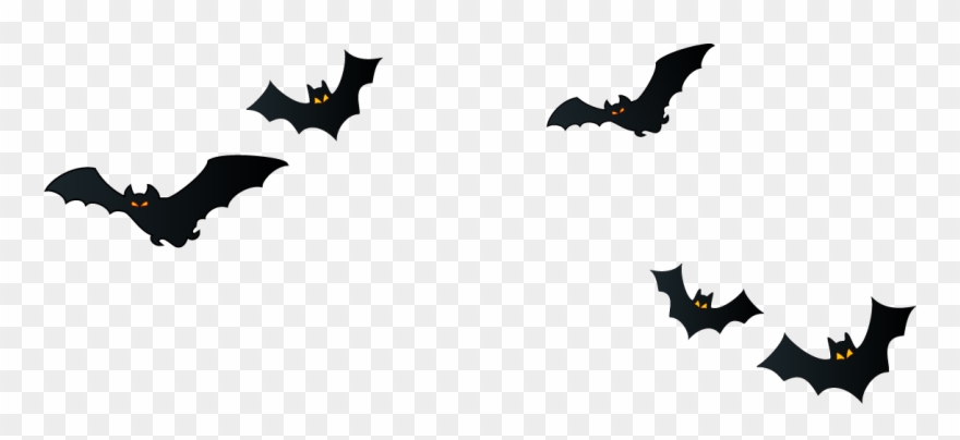 Night sky transparent halloween. Witch clipart bat