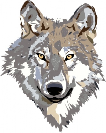 Goodwolf panda free images. Wolf clipart color